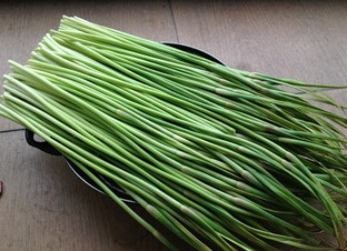 怎样腌蒜苔才好吃呢,如何腌制蒜苔好吃 怎样腌蒜苔才好吃呢,如何腌制蒜苔好吃