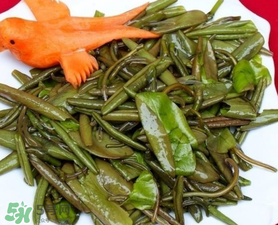 莼菜是什么菜图片,莼菜是什么菜 莼菜是什么菜图片,莼菜是什么菜