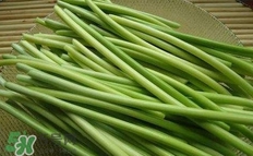 蒜苔是酸性还是碱性食物,蒜苔是酸性还是碱性的 蒜苔是酸性还是碱性食物,蒜苔是酸性还是碱性的