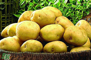 谷雨能种土豆吗,下雨天可以种土豆吗