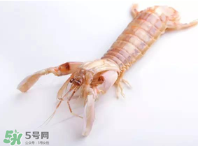 皮皮虾什么时候有籽,最好吃,皮皮虾什么时候有籽 皮皮虾什么时候有籽,最好吃,皮皮虾什么时候有籽