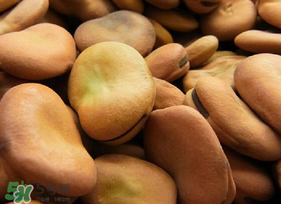 晒干的蚕豆怎么炒才能开裂香脆,干蚕豆怎么煮才容易烂