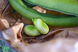 蚕豆可以放冰箱吗?,蚕豆可以放在冰箱里冷冻吗