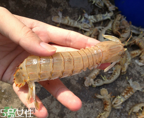 皮皮虾发绿还能吃吗,皮皮虾变绿了还能吃吗