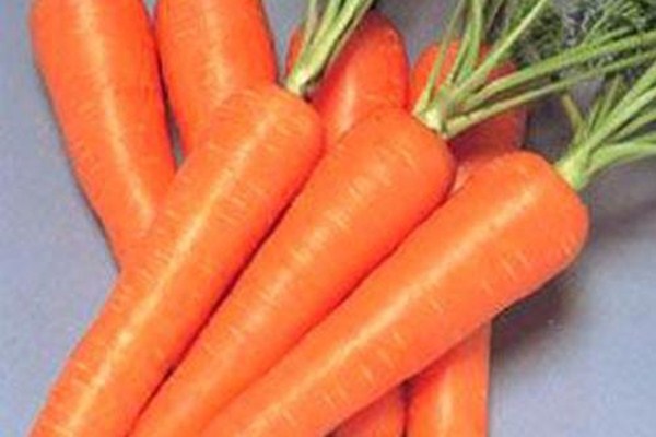 胡萝卜炖什么养胃(胡萝卜能养胃吗)