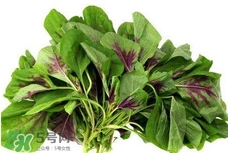 苋菜和什么食物相克相宜,苋菜和什么食物相克?
