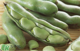 蚕豆要焯水吗,蚕豆要不要焯水 蚕豆要焯水吗,蚕豆要不要焯水