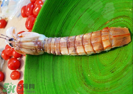 皮皮虾哪些部位不能吃图解,皮皮虾哪些部位不能吃图片 皮皮虾哪些部位不能吃图解,皮皮虾哪些部位不能吃图片