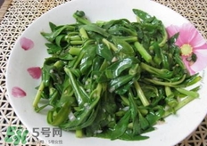 养心菜什么人不能吃,食用养心菜禁忌