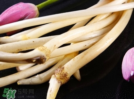 藕带什么时候有,藕带什么季节有