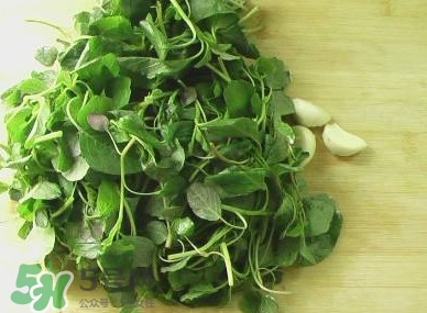 野苋菜能吃吗?,野苋菜能吃吗有什么功效 野苋菜能吃吗?,野苋菜能吃吗有什么功效