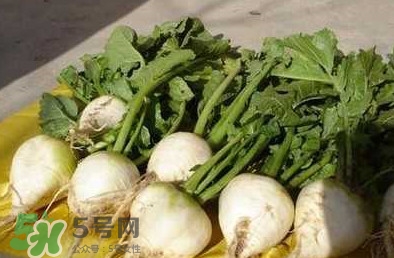 咋样腌制芥菜丝,芥菜疙瘩丝怎么腌制