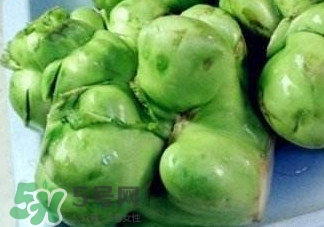 腌制的芥菜疙瘩有营养吗,芥菜疙瘩怎么腌