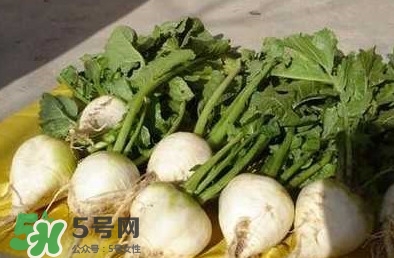 芥菜疙瘩孕妇能吃吗,芥菜孕妇能吃不