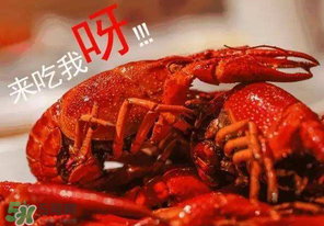 煮熟的小龙虾可以隔夜吃吗,煮熟的龙虾可以隔夜吃吗