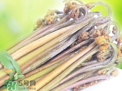 蕨菜需要煮多长时间,蕨菜炒多久会熟