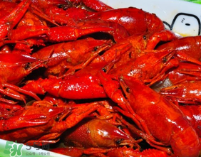 龙虾为什么变红,小龙虾为什么会变红 龙虾为什么变红,小龙虾为什么会变红