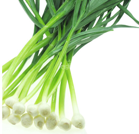 炒熟的蒜苗是辛辣食物吗,蒜苗是辛辣食物吗