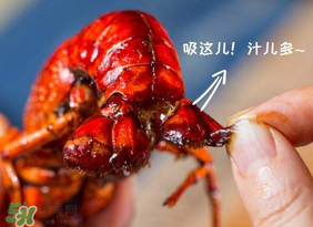 吃油焖大虾会胖吗,减肥可以吃油焖大虾吗