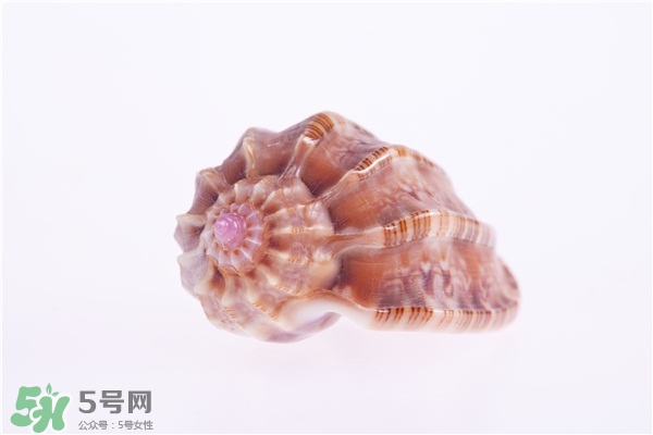 海螺的尾部能吃吗,海螺的尾部能吃吗 医生