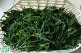 扫帚菜有什么功效和作用,扫帚菜有什么功效 盘点扫帚菜的功效作用