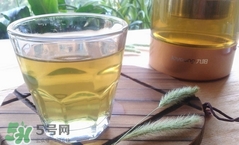 蒲公英泡水喝是用晒干的好还是新鲜的好?,晒干的蒲公英泡水喝有什么作用