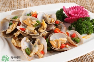 活海螺的保存方法,活的海螺怎么保存方法 活海螺的保存方法,活的海螺怎么保存方法