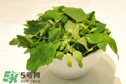 灰灰菜是什么样子,灰灰菜是什么样子?灰灰菜图片