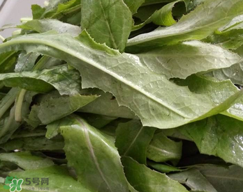 可以炒鸡蛋的菜