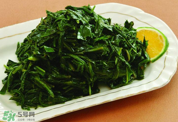 苦菜是蒲公英吗苦菜和蒲公英的区别,蒲公英和苦菜的区别