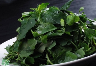 灰灰菜怎么吃好,灰灰菜怎么吃才好吃