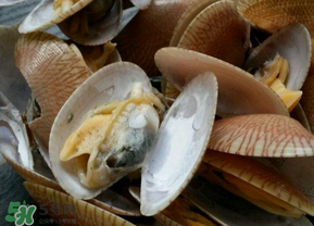 花甲清洗步骤,花甲清洗方法