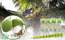 青椰子肉可以直接吃吗,椰青肉能生吃吗椰子肉怎么吃