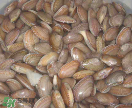 花甲可以养多久不死,花甲养两天会不会死