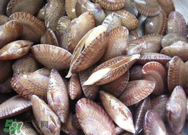 焯过水的花甲可以放冰箱吗,花甲可以放冰箱吗 焯过水的花甲可以放冰箱吗,花甲可以放冰箱吗