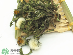 蒲公英是否有毒,蒲公英有毒素吗?