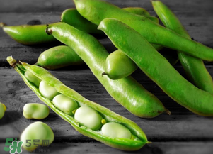 蚕豆什么时候成熟采收,蚕豆啥时候种比较好 蚕豆什么时候成熟采收,蚕豆啥时候种比较好