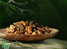 蒲公英根能直接泡水喝吗,蒲公英根泡水喝的功效和禁忌症 蒲公英根能直接泡水喝吗,蒲公英根泡水喝的功效和禁忌症