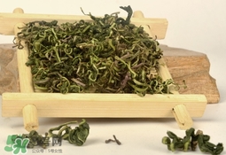 蒲公英不能和什么一起吃,蒲公英不能和什么食物同食