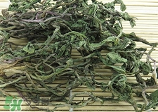 蒲公英晒干前用热水焯吗,晒干的蒲公英怎么煮水