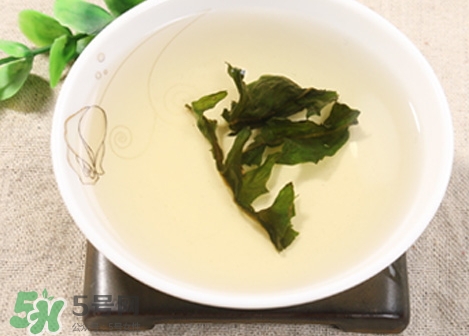 干的蒲公英怎么泡水喝,新鲜的蒲公英怎么泡水喝前要怎么处理