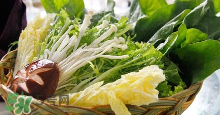 苦菊能涮火锅吃吗,苦菊能吃火锅涮菜吗