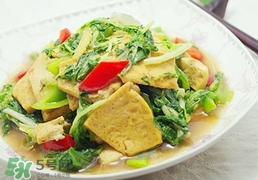 苦菊能和豆腐一起吃吗,苦菊能和豆腐一块儿炒吗? 苦菊能和豆腐一起吃吗,苦菊能和豆腐一块儿炒吗?