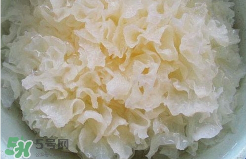 苦菊能和木耳一起吃吗,苦菊不能跟什么一起吃