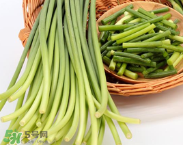 蒜苔能放在冰箱里吗?,蒜苔可以放冰箱吗