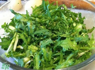 苦菊能炒吗,苦菊可以炒吗