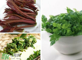 香椿和香菜能一起吃吗?,香椿和香菜可以同时吃吗