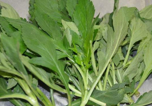 苦苣怎么做才好吃,苦苣菜怎么吃