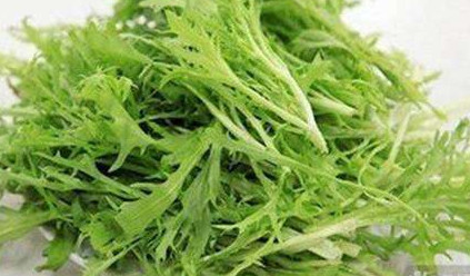 苦苣菜能生吃吗,苦苣生菜可以生吃吗?