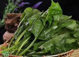 香椿和菠菜能一起吃吗?,吃香椿不能和什么一起吃 香椿和菠菜能一起吃吗?,吃香椿不能和什么一起吃